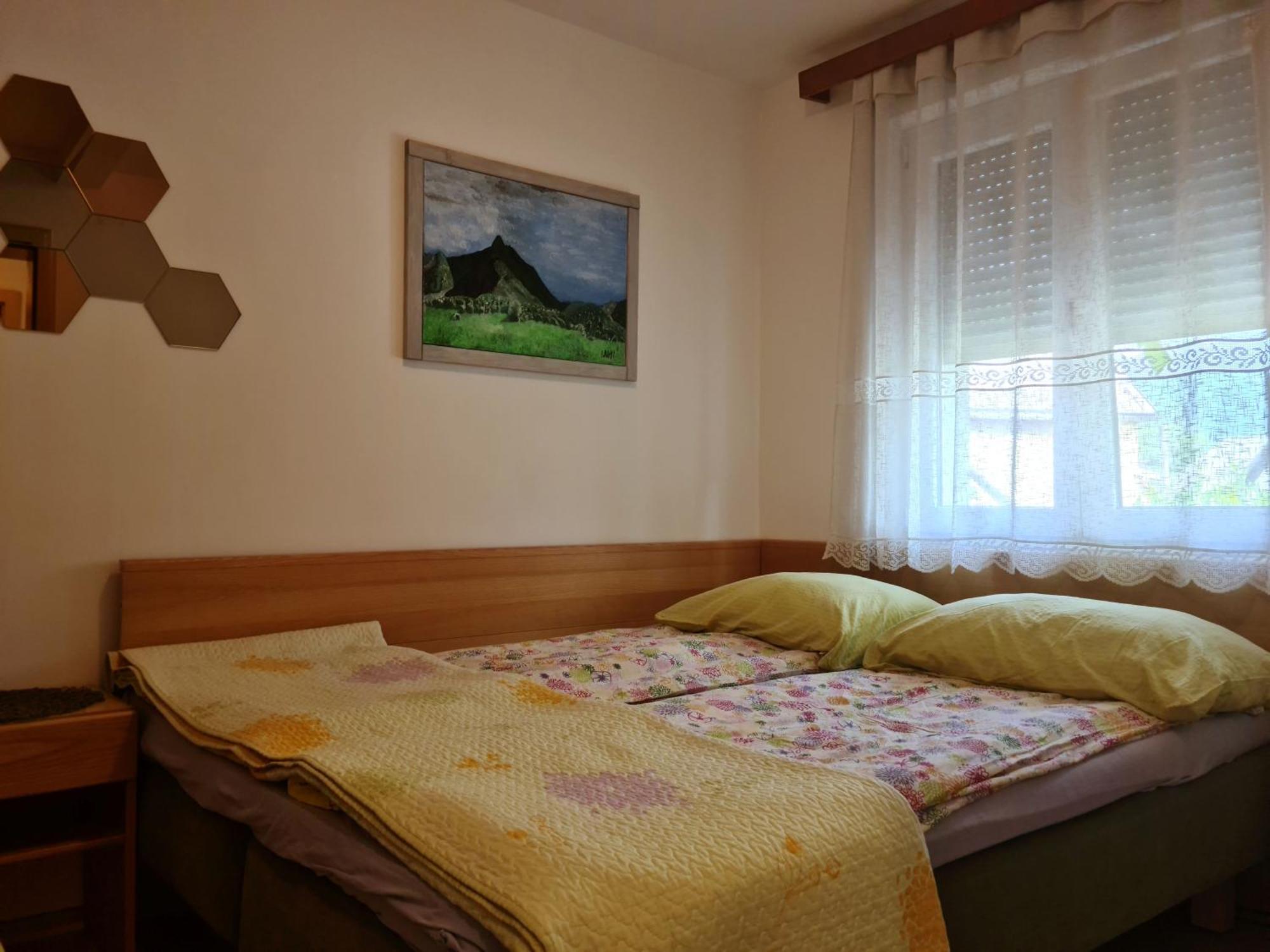 Apartments Bovec Dana Extérieur photo