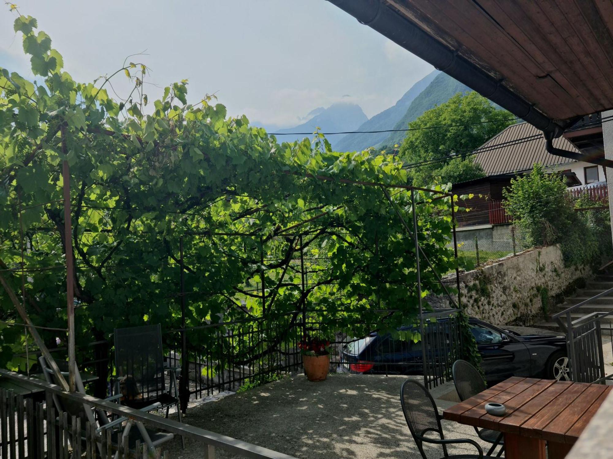 Apartments Bovec Dana Extérieur photo